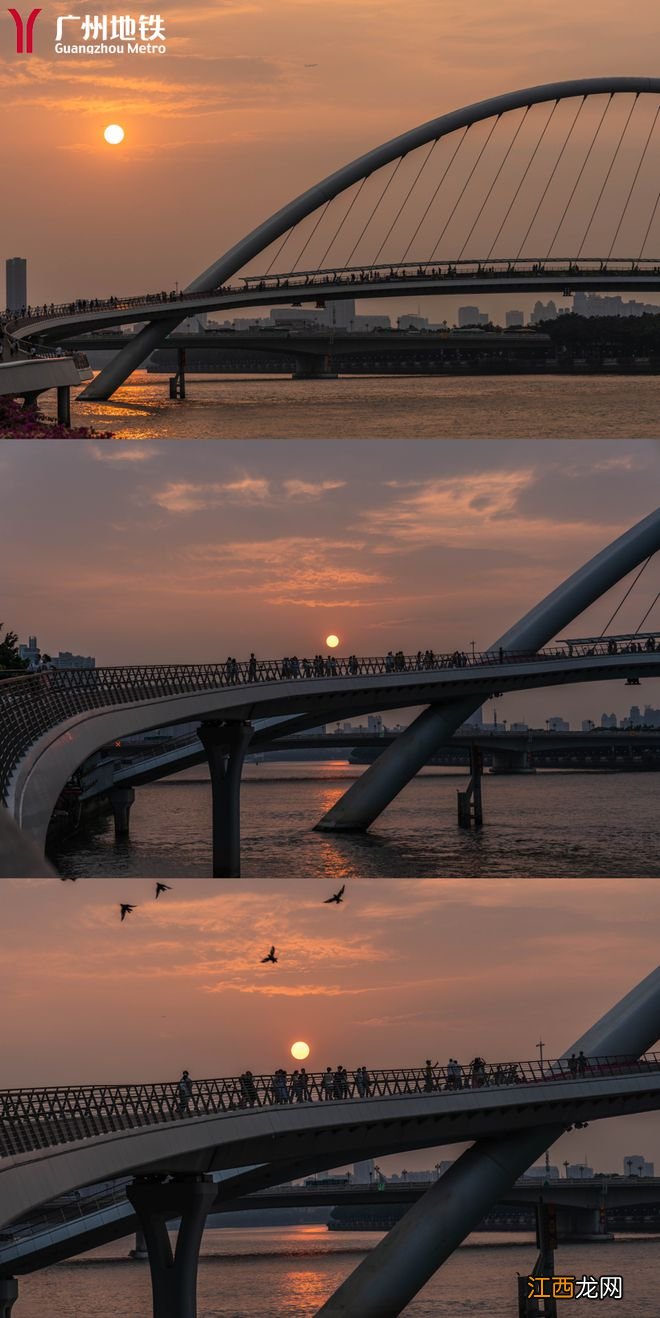 这样打卡羊城夜景，你应该还没试过~