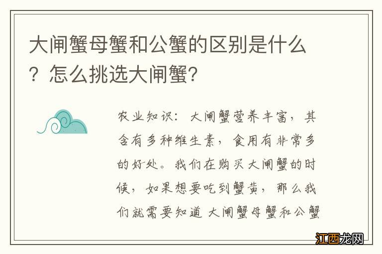 大闸蟹母蟹和公蟹的区别是什么？怎么挑选大闸蟹？