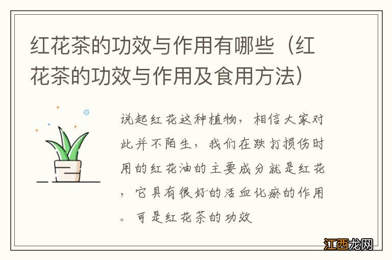 红花茶的功效与作用及食用方法 红花茶的功效与作用有哪些