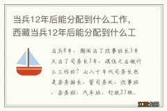 当兵12年后能分配到什么工作，西藏当兵12年后能分配到什么工作