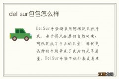 del sur包包怎么样