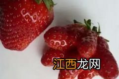 白菜和什么搭配最好？白菜的营养搭配有哪些？