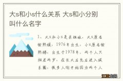 大s和小s什么关系 大s和小分别叫什么名字