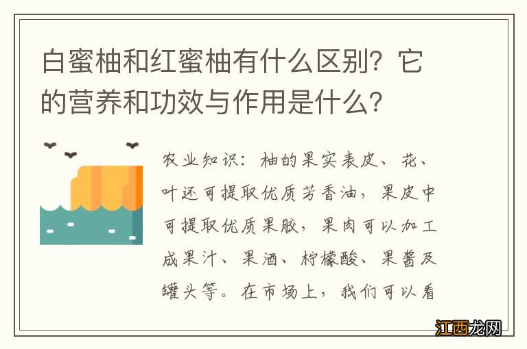 白蜜柚和红蜜柚有什么区别？它的营养和功效与作用是什么？