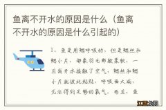 鱼离不开水的原因是什么引起的 鱼离不开水的原因是什么