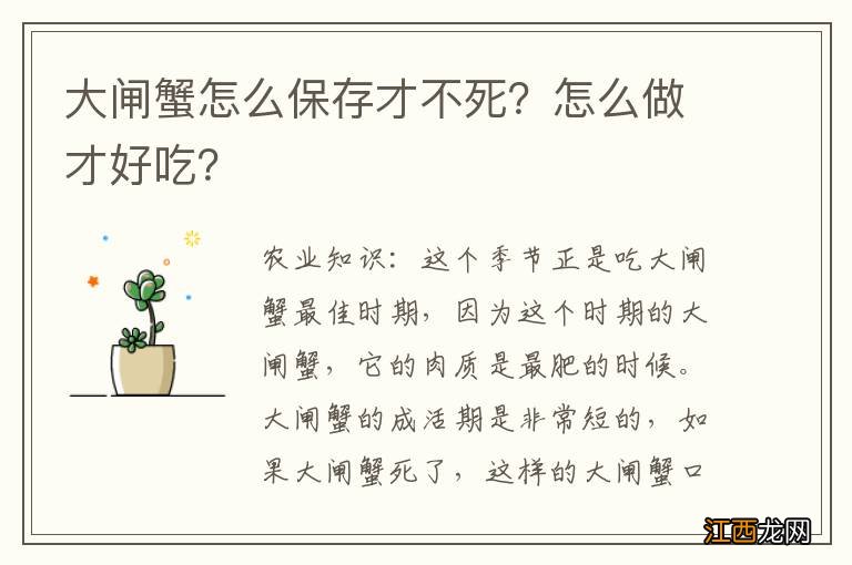 大闸蟹怎么保存才不死？怎么做才好吃？