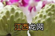 宝宝用尿不湿红屁股怎么办