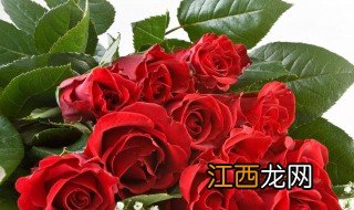 教师节老师感谢语简短 教师节老师感谢语简短推荐