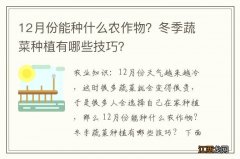 12月份能种什么农作物？冬季蔬菜种植有哪些技巧？