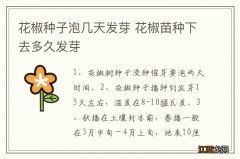 花椒种子泡几天发芽 花椒苗种下去多久发芽