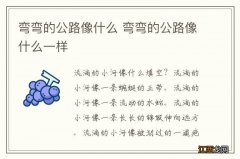 弯弯的公路像什么 弯弯的公路像什么一样