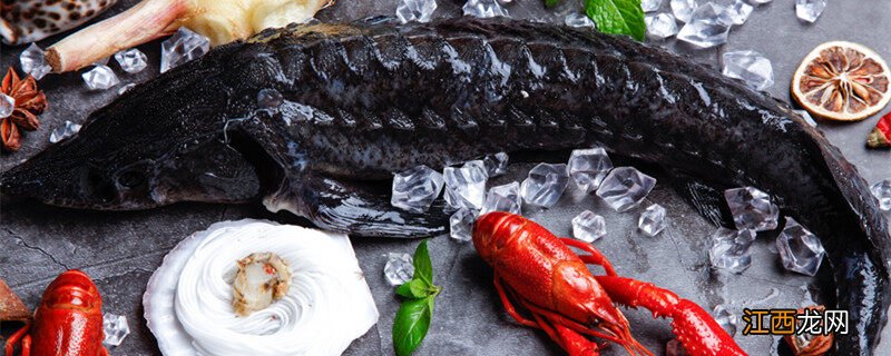 养殖中华鲟一般多少斤重 养殖中华鲟一般多少斤