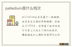 palladium是什么档次