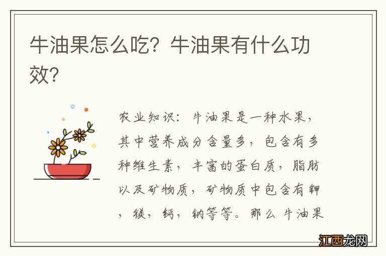 牛油果怎么吃？牛油果有什么功效？