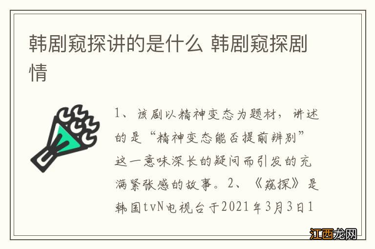 韩剧窥探讲的是什么 韩剧窥探剧情