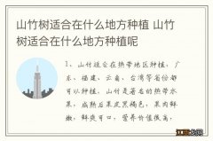 山竹树适合在什么地方种植 山竹树适合在什么地方种植呢