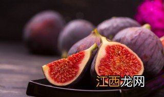 无花果几月份种植，无花果几月份种植树苗