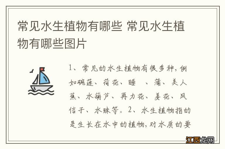 常见水生植物有哪些 常见水生植物有哪些图片