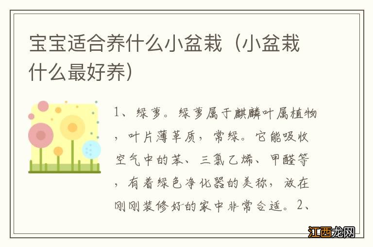 小盆栽什么最好养 宝宝适合养什么小盆栽