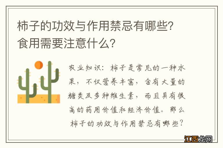 柿子的功效与作用禁忌有哪些？食用需要注意什么？