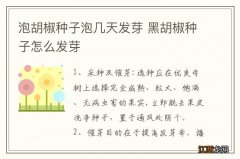 泡胡椒种子泡几天发芽 黑胡椒种子怎么发芽