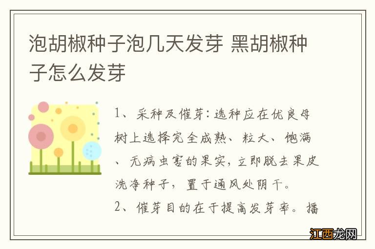 泡胡椒种子泡几天发芽 黑胡椒种子怎么发芽