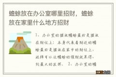 蟾蜍放在办公室哪里招财，蟾蜍放在家里什么地方招财