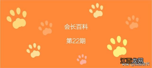 母猫也会来大姨妈 成年公猫会对未成年母猫下手吗