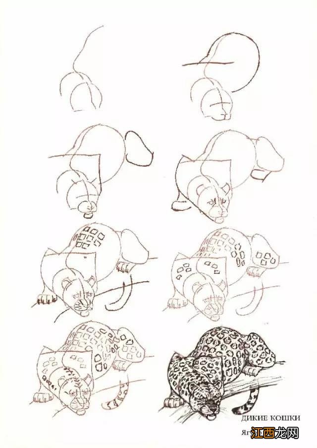 猫咪简笔画50个干货小教程 猫咪简笔画又简单又好看