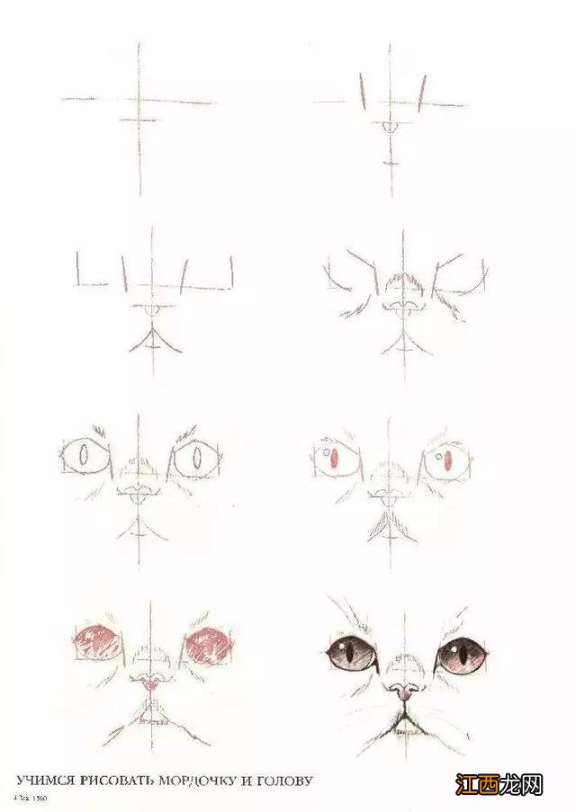 猫咪简笔画50个干货小教程 猫咪简笔画又简单又好看