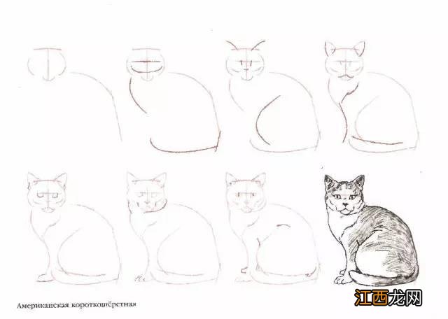 猫咪简笔画50个干货小教程 猫咪简笔画又简单又好看