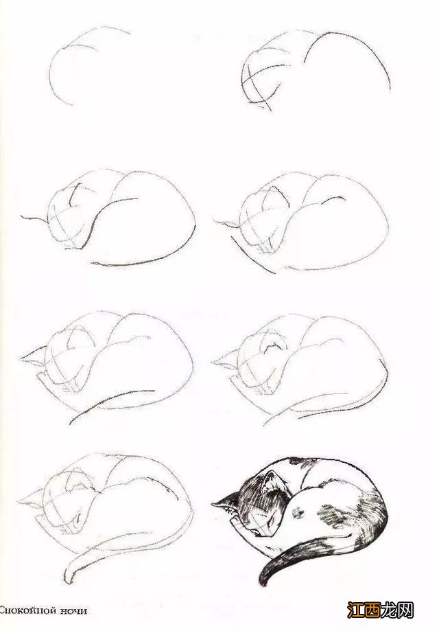 猫咪简笔画50个干货小教程 猫咪简笔画又简单又好看