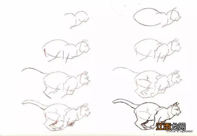 猫咪简笔画50个干货小教程 猫咪简笔画又简单又好看