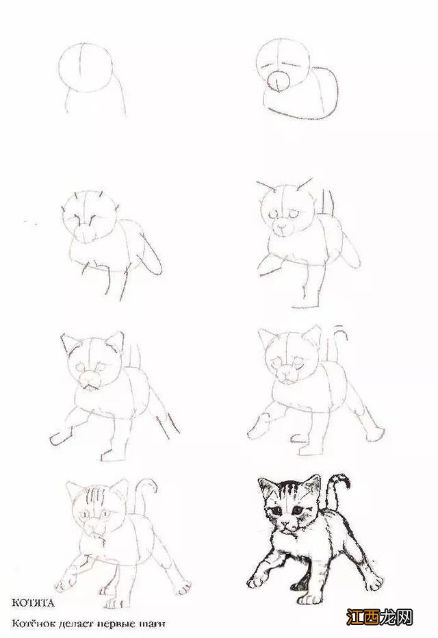 猫咪简笔画50个干货小教程 猫咪简笔画又简单又好看