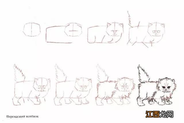 猫咪简笔画50个干货小教程 猫咪简笔画又简单又好看