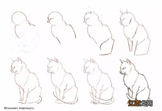 猫咪简笔画50个干货小教程 猫咪简笔画又简单又好看