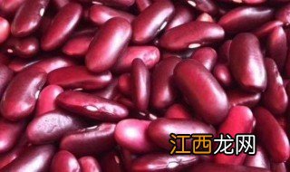 红腰豆种子催芽 红腰豆种子泡几天会发芽