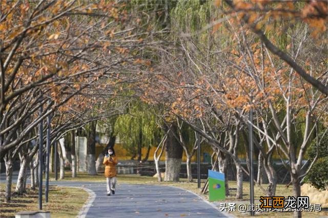 亲近自然 获取冬日限定松弛感