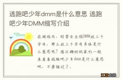 逃跑吧少年dmm是什么意思 逃跑吧少年DMM缩写介绍