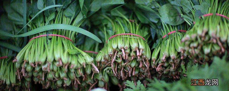 菠菜施什么肥料长得快 菠菜喜欢什么肥料