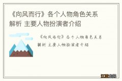 《向风而行》各个人物角色关系解析 主要人物扮演者介绍