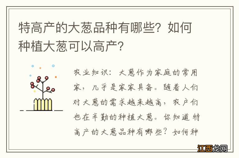 特高产的大葱品种有哪些？如何种植大葱可以高产？