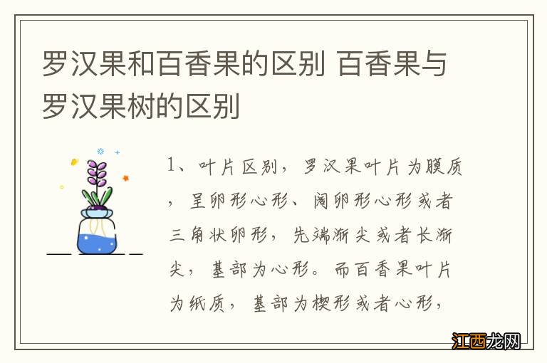 罗汉果和百香果的区别 百香果与罗汉果树的区别