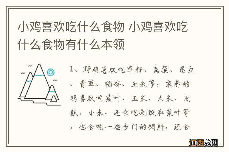 小鸡喜欢吃什么食物 小鸡喜欢吃什么食物有什么本领