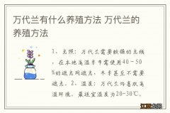 万代兰有什么养殖方法 万代兰的养殖方法