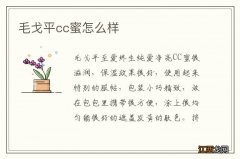 毛戈平cc蜜怎么样