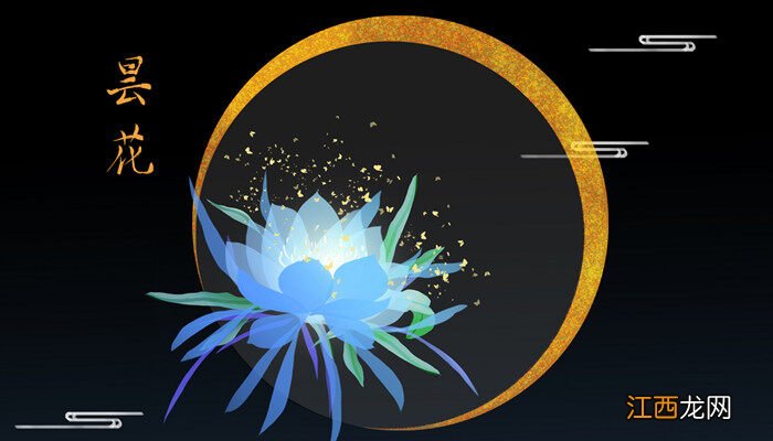 昙花是什么花 昙花一年开几次花