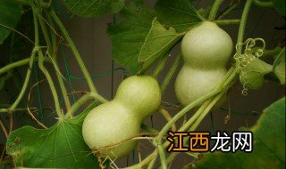 葫芦挂件放哪里招财 葫芦挂件招财吗