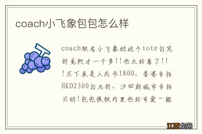 coach小飞象包包怎么样