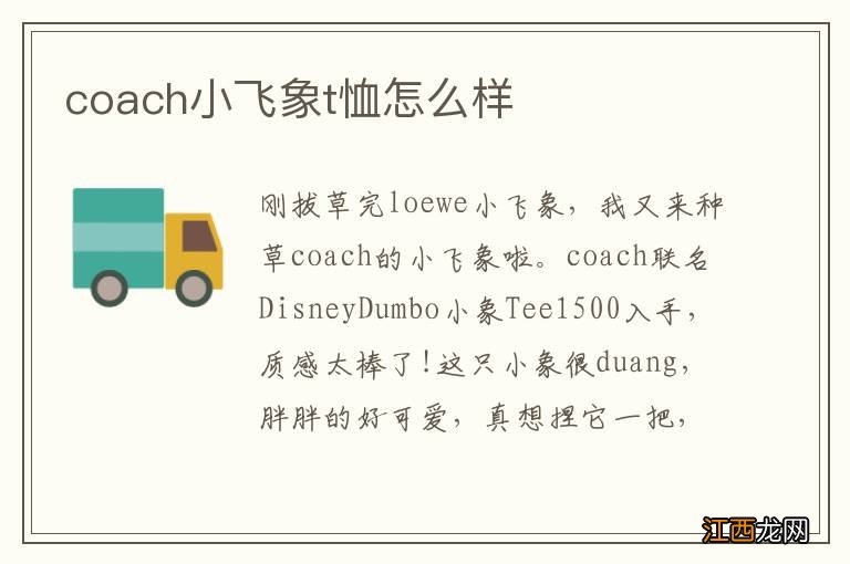 coach小飞象t恤怎么样